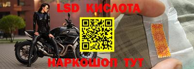 a pvp Славгород