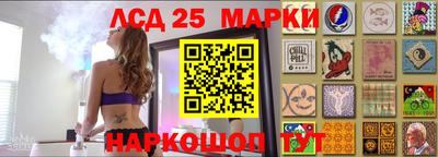 a pvp Славгород