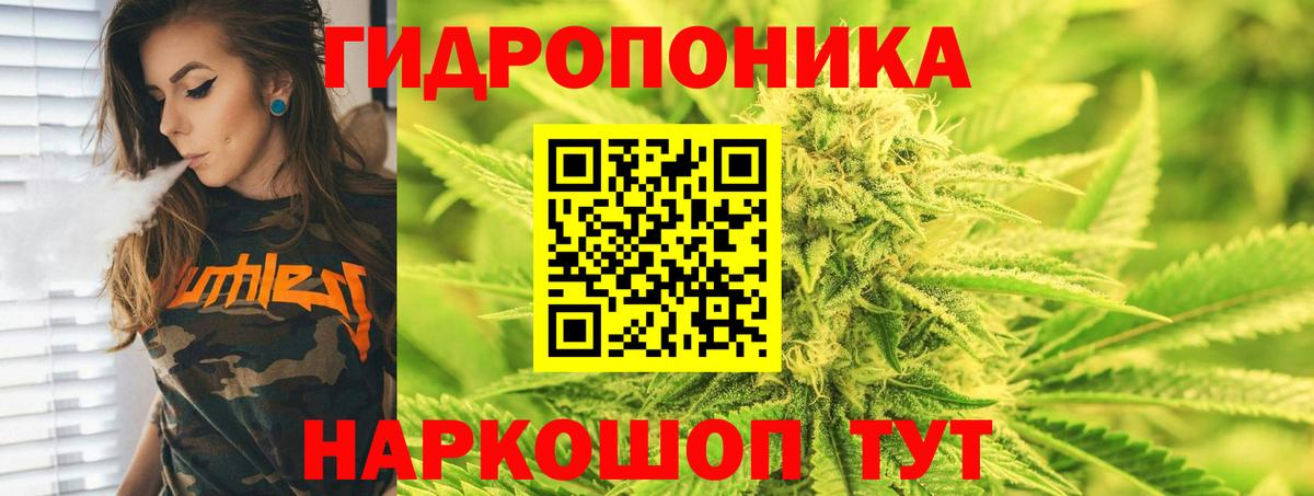 Шишки марихуана тримм  Вход с VPN  Канабис Ganja  Марихуана LSD WEED  Тавда 